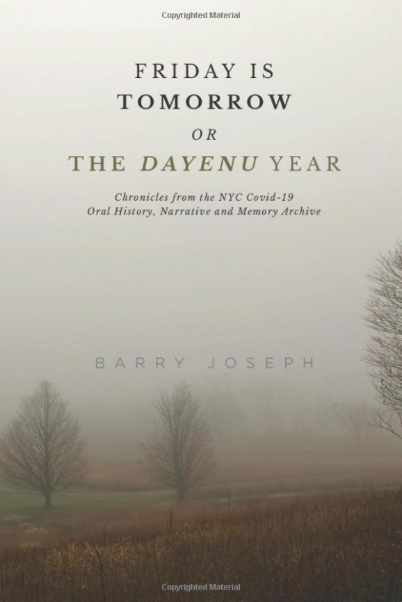 Book Front Cover: Friday Is Tomorrow or The Dayenu Year